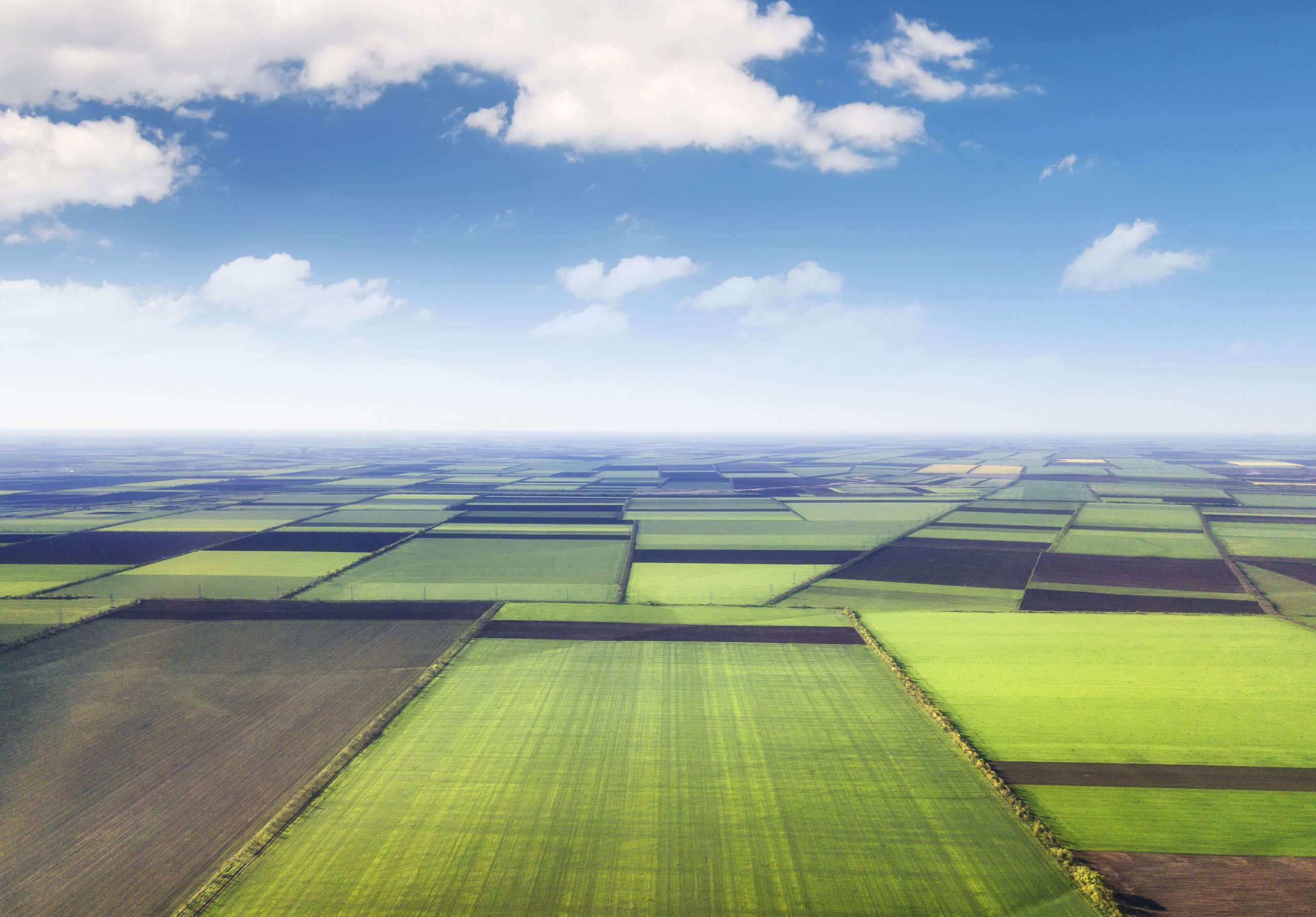 Taking advantage of the insights in Your VDR
